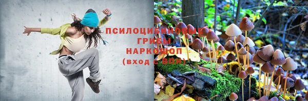 трава Заволжск