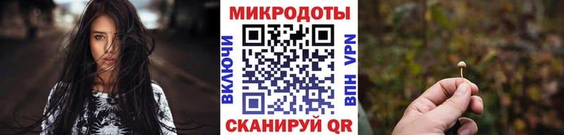 Купить где  Бежецк  Галлюциногенные грибы GOLDEN TEACHER 